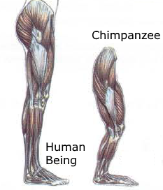 12.png
