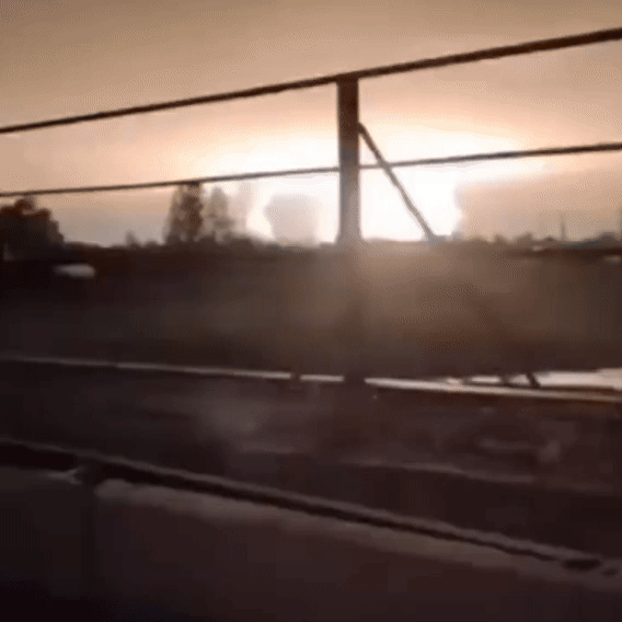 9.gif