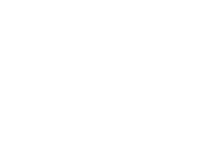 11.gif