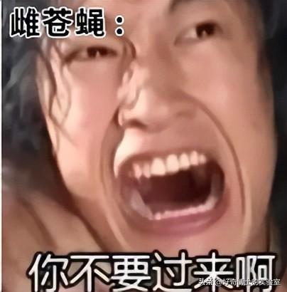 4.jpeg